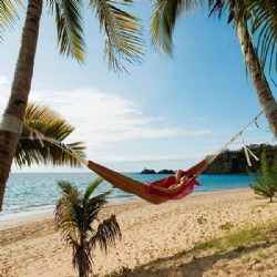 hammock